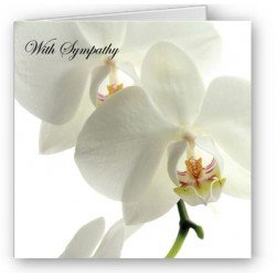 Sympathy