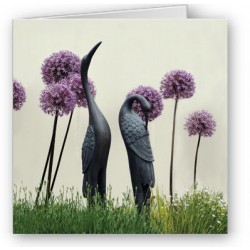 Allium