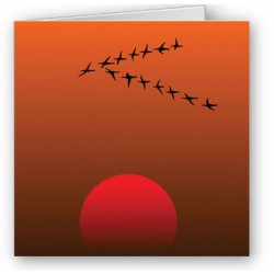 Migration