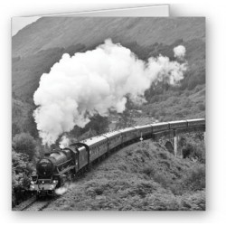 Glenfinnan Viaduct