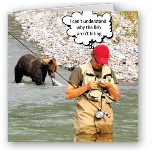 A Bear Behind