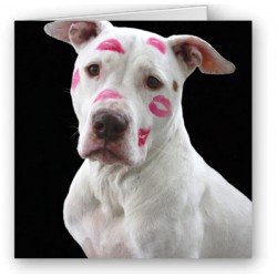 Lipstick