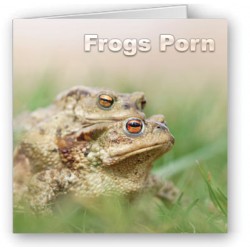 Frogs Porn
