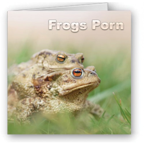 Frogs Porn