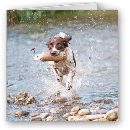 Splash!