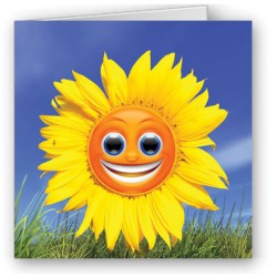 Happy Sunflower