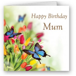 Tulips Mum