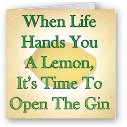 Open the Gin