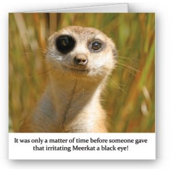 A Black Eye