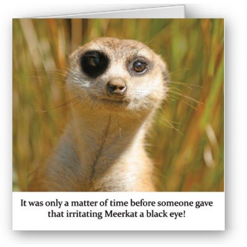 A Black Eye