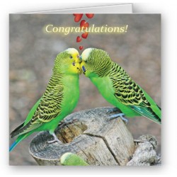 A tweet Couple