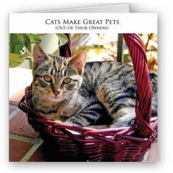Great Pets
