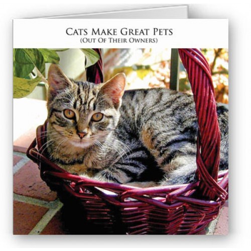 Great Pets