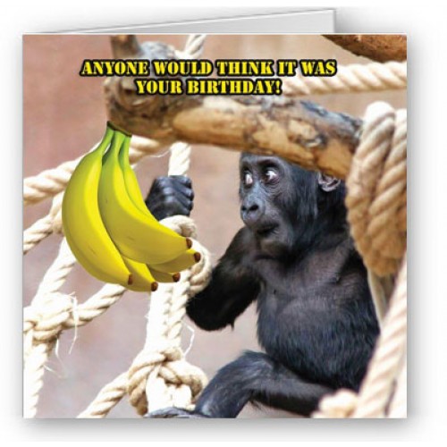 Go Bananas