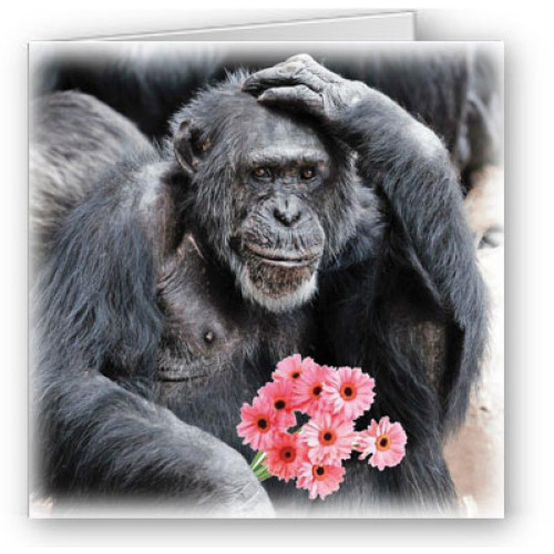 Deep Thought