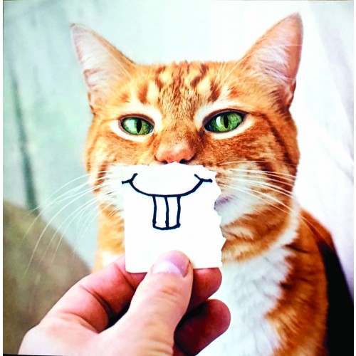 Cats Teeth