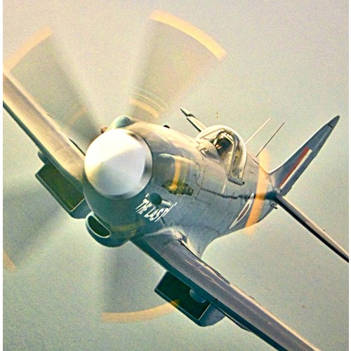 Spitfire