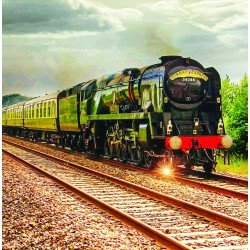 Torbay Express