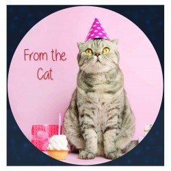 From The Cat
