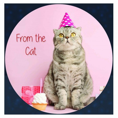 From The Cat