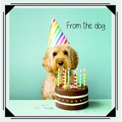From The Dog