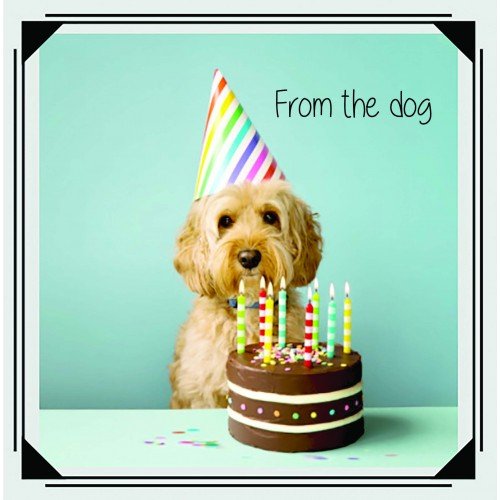 From The Dog