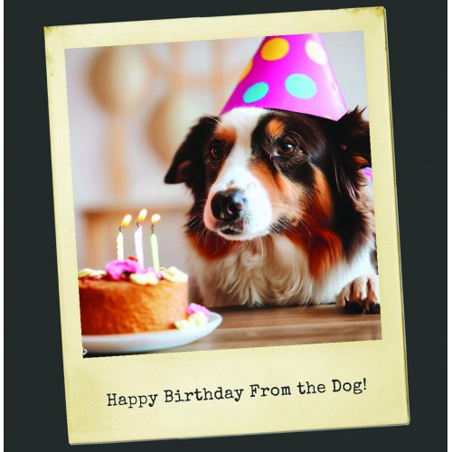Happy Birthday from the dog