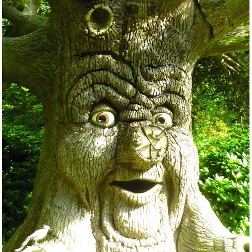 Tree Face