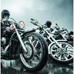 Bikes